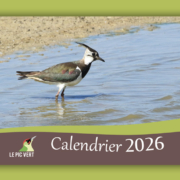 Le Pic Vert : Calendrier 2026